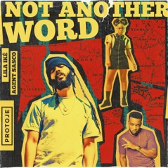Not Another Word (feat. Agent Sasco) - Single