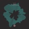 iDeep - Soulkeys lyrics