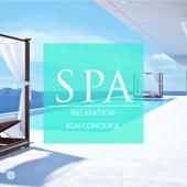 Spa Music - Relaxation artwork