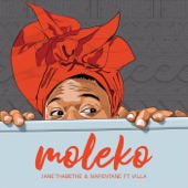 Moleko (feat. Villa) artwork