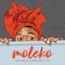 Moleko (feat. Villa) artwork