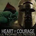 Heart of Courage feat. Pettidee