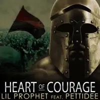 Heart of Courage feat. Pettidee