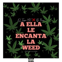 A Ella Le Encanta La Weed (feat. Rj Flow) - Single - El Topo Mc