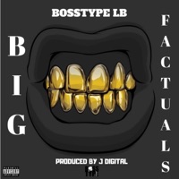 Big Factuals - Single - Bosstype LB