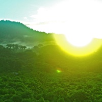 Fastwind - Single - Tsoya Malsoon