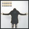 So Misunderstood - Single