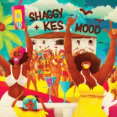 Mood (feat. Kes) artwork