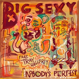 Nobody's Perfect (feat. Tray Haggerty) Big Sexy