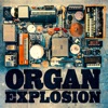 Organ Explosion, 2014