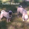 Austen Brauker