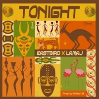 Tonight (feat. Lamaj) - Single - Eastbird