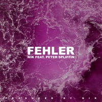 Fehler - Single - NIK & Peter Spliffin