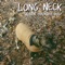 Cicada - Long Neck lyrics
