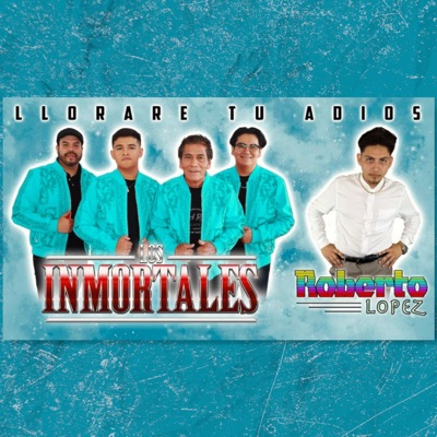 Lloraré Tu Adiós (feat. Roberto Lopez El Tiempo De Mexico) - Single