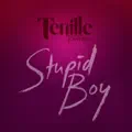 Stupid Boy