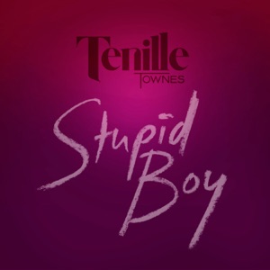 Stupid Boy - Single
