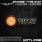 A Fatal Dose (Loui Fernandez Remix) - James The Cat lyrics