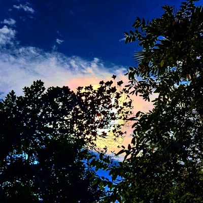 Music BoX - Haaye Mera Dil...