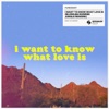I Want To Know What Love Is (BLOND:ISH Sunrise Jungle Rework) - Single