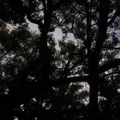 Cerros - EP - Carlos González