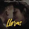 Lloras (feat. Rydan, jeral & Zadiel) - Single