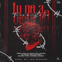 TU NO A VISTO LIO (feat. FREKO JHON ING, EL PRAAK EN LA BOCINA, BRAFEY STAR, DANGER LAPICERO, NICOLAS Fresh & X9NINE) - Single - ING RECORDS MAMI JORDAN