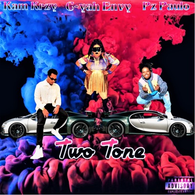 Two Tone (feat. Kam Krzy & Pz Paulo) - Single