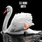 DJ Bubo - Birth