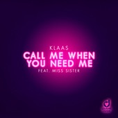Call Me When You Need Me (feat. Miss Sister) artwork