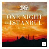 One Night in Istanbul artwork
