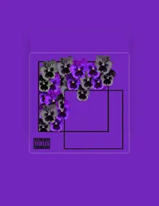 STOW: песни, клипы, биография, даты выступлений и многое другое.