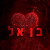 מבזבזת לי ת'לב artwork