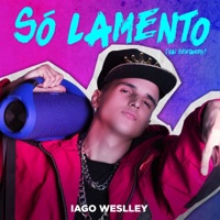 Só Lamento (Vai Sentando) - Single - Iago Weslley