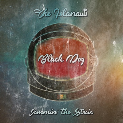 Black Dog (feat. Don Carmelo & Dr. Digital Aché) - Single