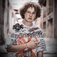 Say What You Want - Single - Devious R