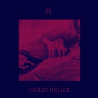 Harry Haller ((Chopped & Screwed)) - Single - Pi