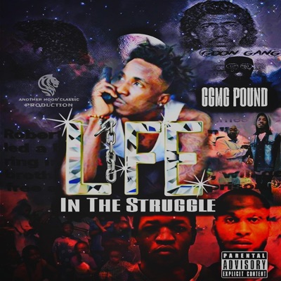 Life in the Struggle