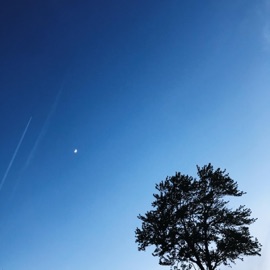 Shooting Stars Kurt Stewart & SPEECHLESS