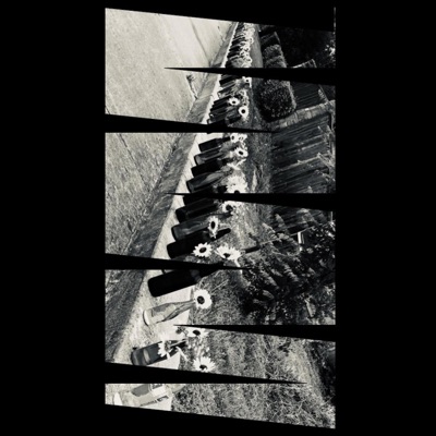 Honey & CIG - Single