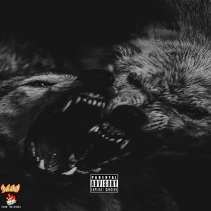 New Wave Freestyle
