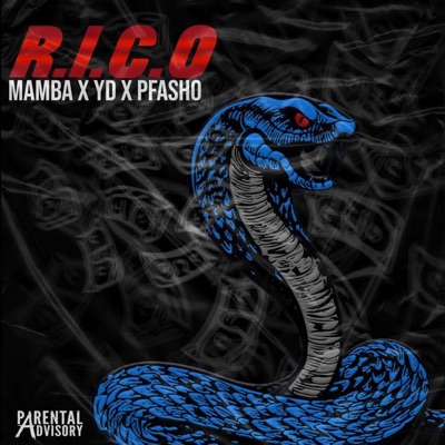 Rico (feat. YD & P.Fasho) - Single