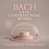 Die Kunst der Fuge, BWV 1080 / Canon [in Hypodiatessaron] per Augmentationem in Contrario Motu