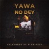 Yawa No Dey (feat. M.anifest) - Single