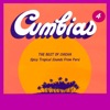 The Best of Chicha: Cumbias Vol. 4 - Spicy Tropical Sounds From Perú