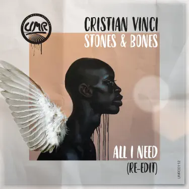 All I Need (Re-Edit) [feat. Stones & Bones]