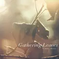 Gathering Leaves