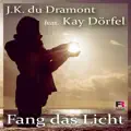 Fang das Licht