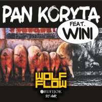 Pan koryta (feat. HK Rufijok, DJ HWR, Wini) - Single - Grubo Krojone Records