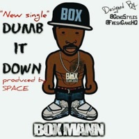 Dumb It Down - Single - Box Mann